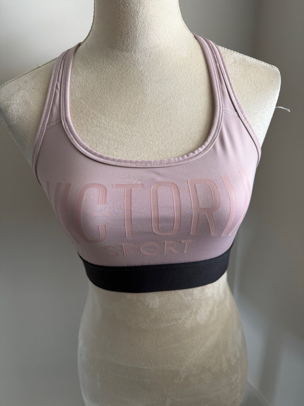 Victoria Sport Women's Mauve and Black Sports Bra